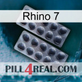 Rhino 7 31